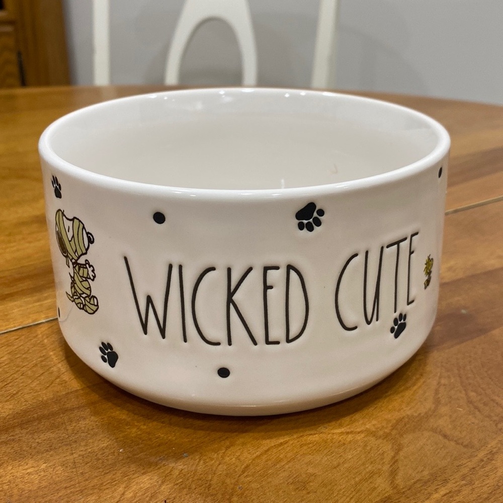NWOT.  Rae Dunn, ceramic dog bowl.